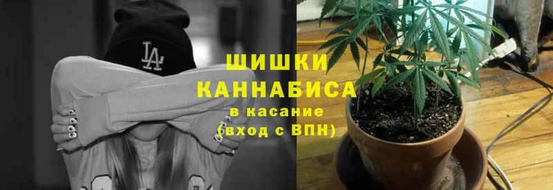 маркетплейс официальный сайт  Данков  Бошки Шишки THC 21% 